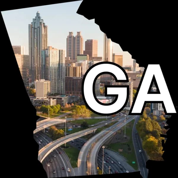 Georgia Lieutenant Governor winner?