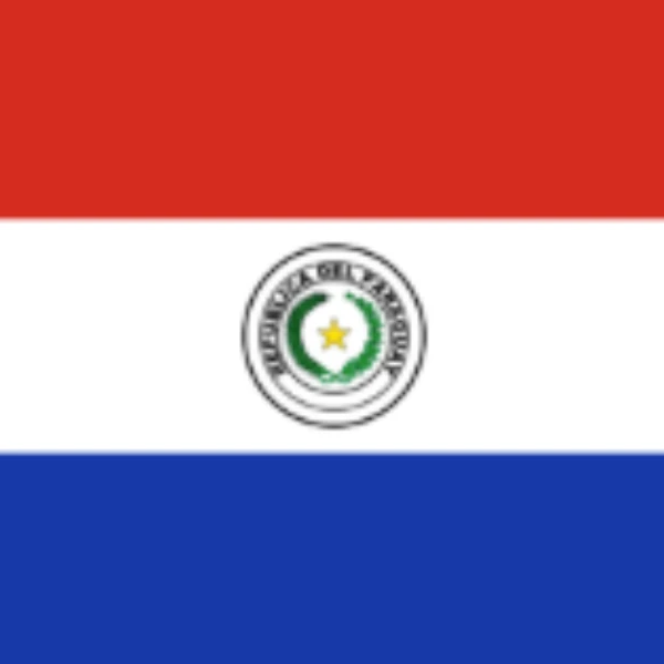 Who will win the next Paraguayan Chamber of Deputies election?