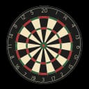 PDC World Championship Winner