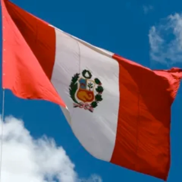 Peru presidential election: first round second place?