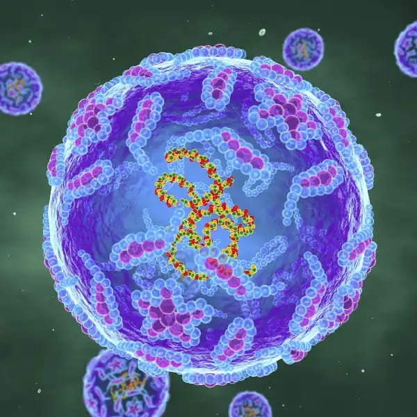 Will there be a case of polio in the USA this year?
