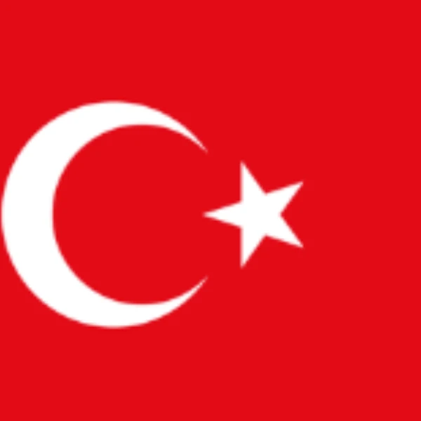 Who will win the first round of the next Turkish presidential election?