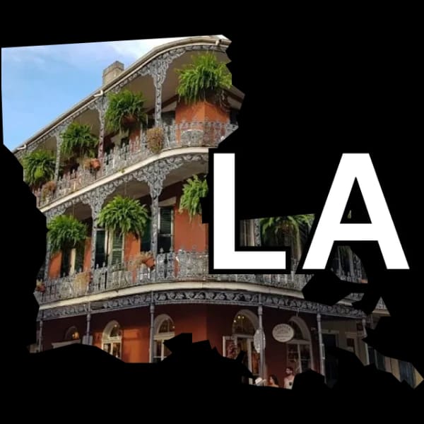 Louisiana Senate winner?