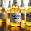 Constellation Brands total beer shipments in Q2