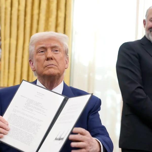 Which companies will the US take a stake in this year?