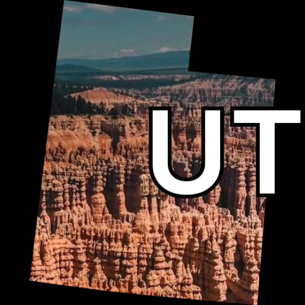 UT-01 Democratic nominee?