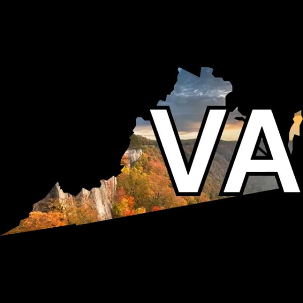 How many House seats will Democrats win in Virginia?