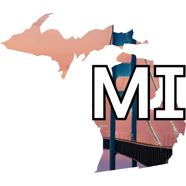 Michigan Senate winner?