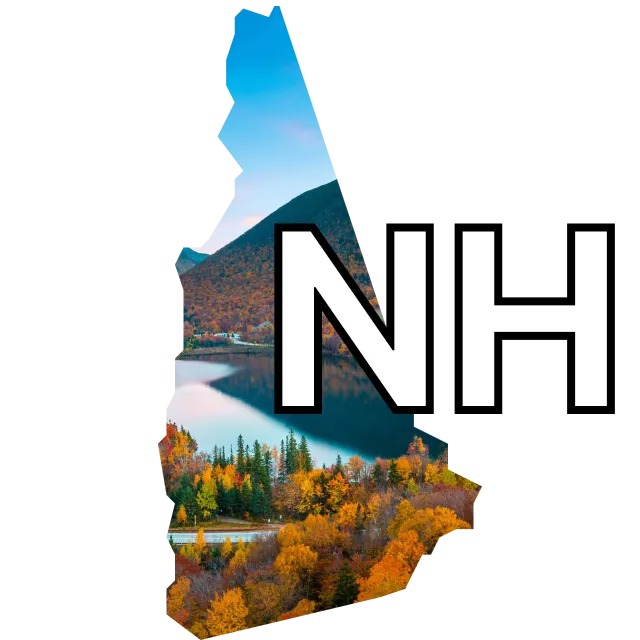 New Hampshire Senate winner?