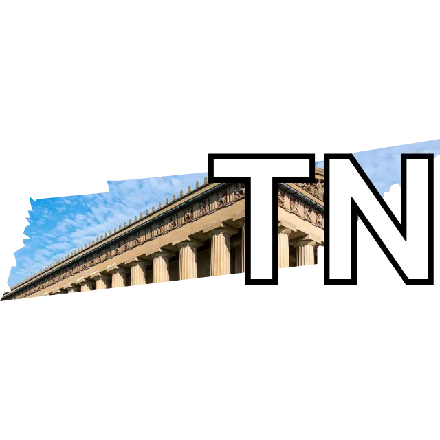 Tennessee Senate winner?