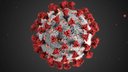 JN.1 most common COVID variant in US by Dec 23?