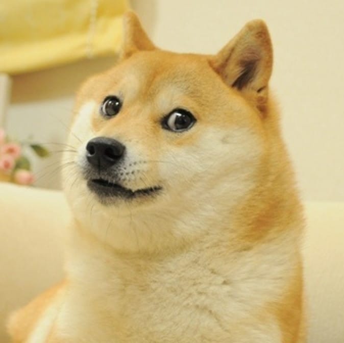 Will the Twitter home button still be DOGE on Friday?