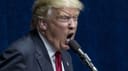 Will Donald Trump announce he is running for president by November 15?