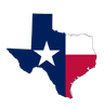 Texas Senate Election Winner
