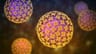 Hantavirus pandemic in 2026?