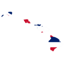 Hawaii Governor Election: Turnout
