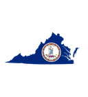 How many House seats will the Democrats win in Virginia?