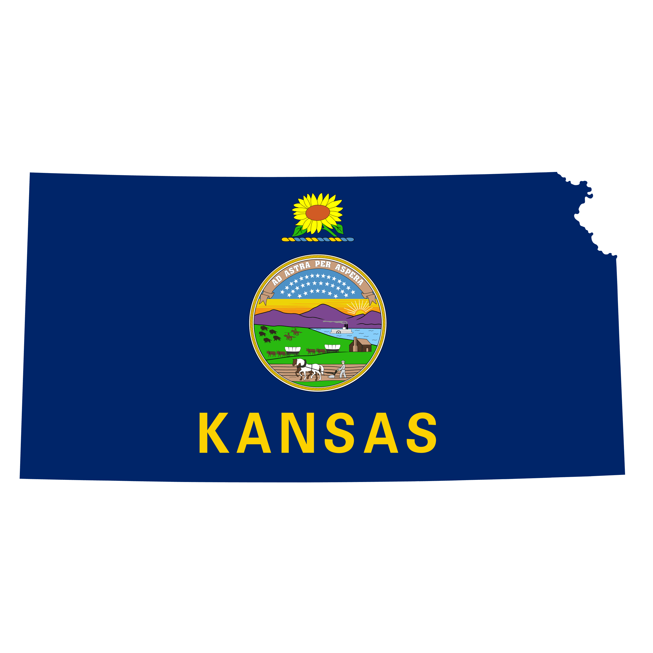 Kansas Senate Election Winner