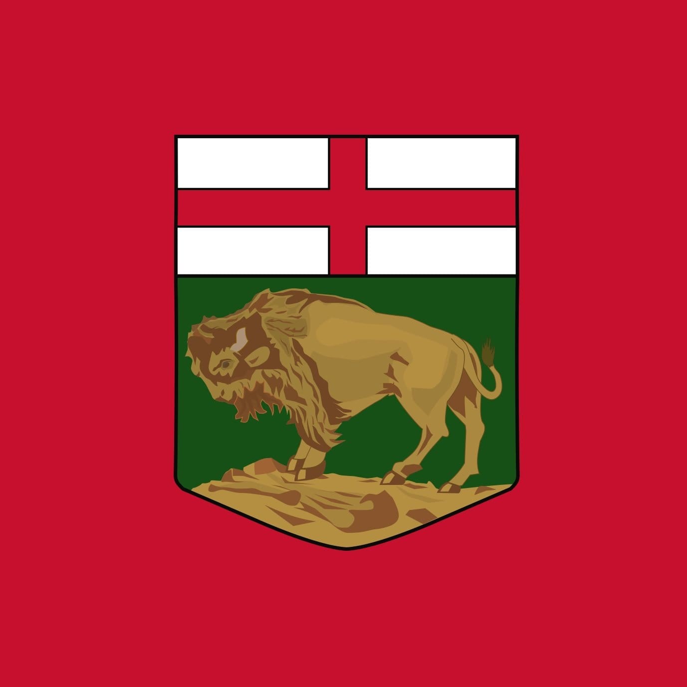The Pas-Kameesak Manitoba Legislative Assembly By-Election Winner