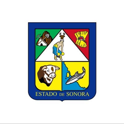 Sonora Governor Election Winner