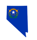 Nevada Governor Election: Turnout