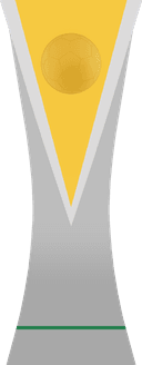 Brasileirão Série C: 2026 Runner-Up