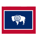 Wyoming Senate Election: Turnout