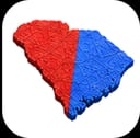 South Carolina US Senate Winner