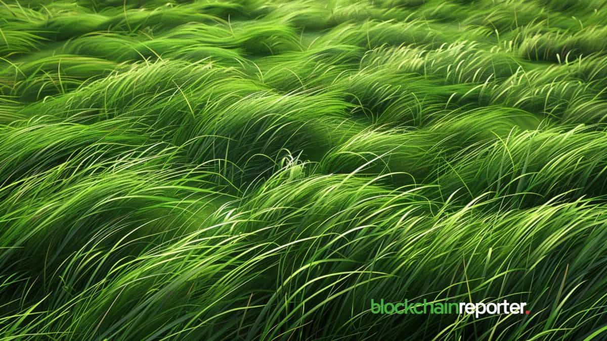 Grass Airdrop Farming Guide 2026: How to Position Before the H1 Drop