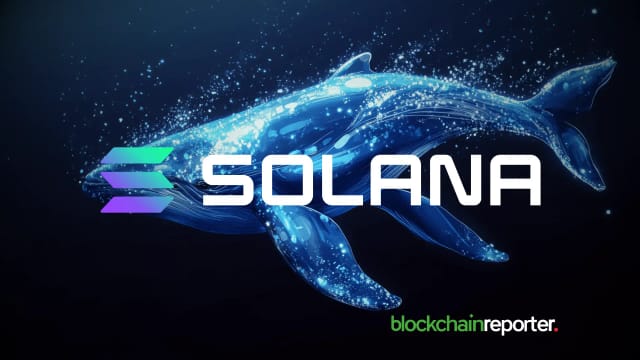 Best Crypto Presale for Massive 2026 Gains: Solana Whale Accumulation Signals 2026 Bull Run as DeepSnitch AI Leads the Race to 250x Gains