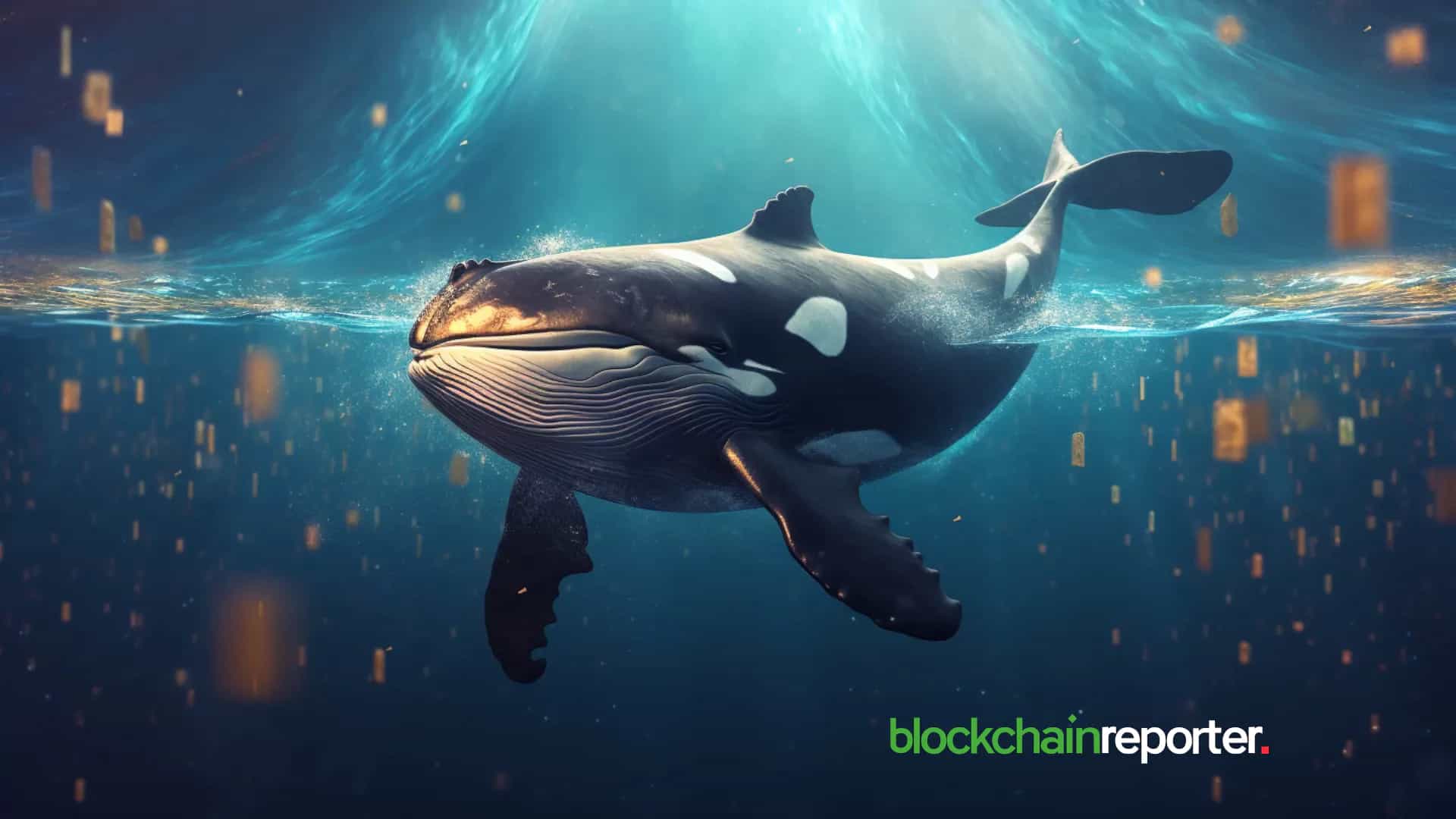 Whale Wallets Stir on Lighter and Mantle as Altcoin Volatility Picks Up