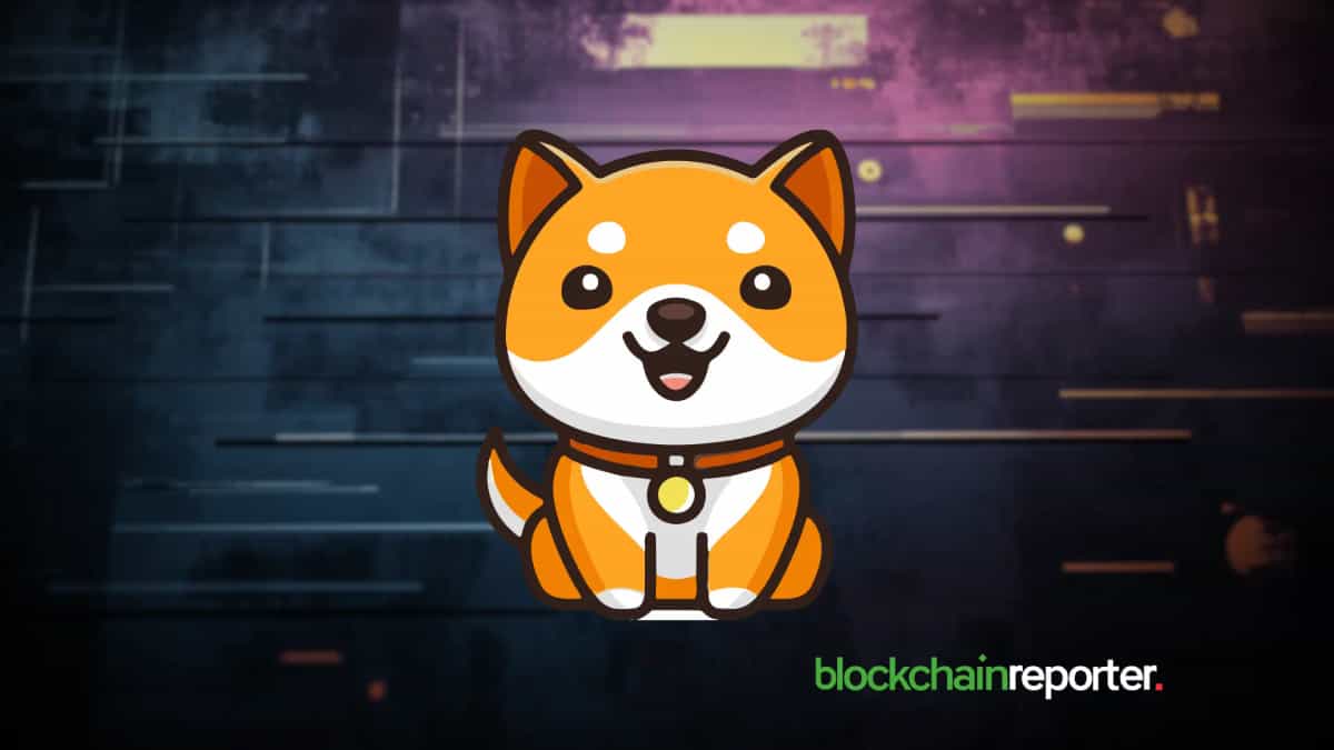 Baby Doge Coin (BABYDOGE) Price Prediction 2026, 2027, 2030, 2040