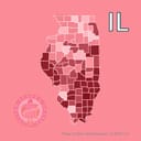 Which party will win the 2026 US Senate election in Illinois?