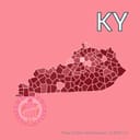 Which party will win the 2026 US Senate election in Kentucky?