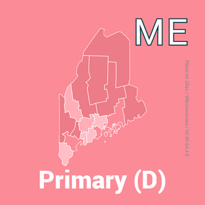 Who will win the 2026 Maine Democratic Senate nomination?
