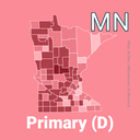 Who will win the 2026 Minnesota Democratic Senate nomination?