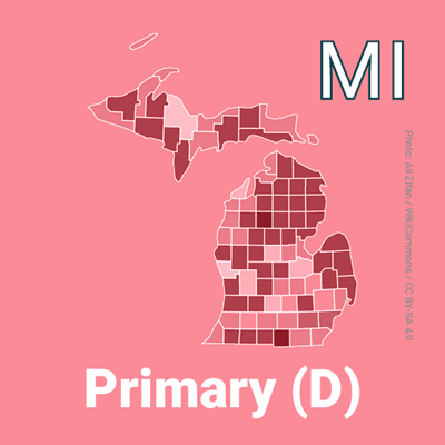 Who will win the 2026 Michigan Democratic Senate nomination?