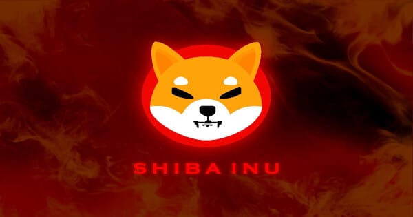 SHIB Price Prediction: Stochastic Signal Sparks a Dead-Cat Bounce Scare — A Real Recovery Needs Volume