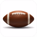 Pro Football Playoff Qualifiers?