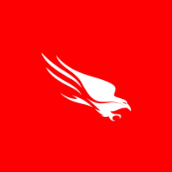 What will CrowdStrike Holdings, Inc. say during their next earnings call?