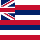 Will Honolulu Charter Question 4 pass?