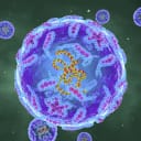 Will there be a case of polio in the USA this year?