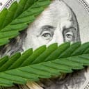 Will cannabis banking insurance protections become law in 2026?