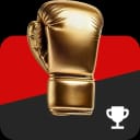 Light Heavyweight Title on Dec 31, 2027?