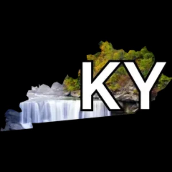 Kentucky Senate winner?