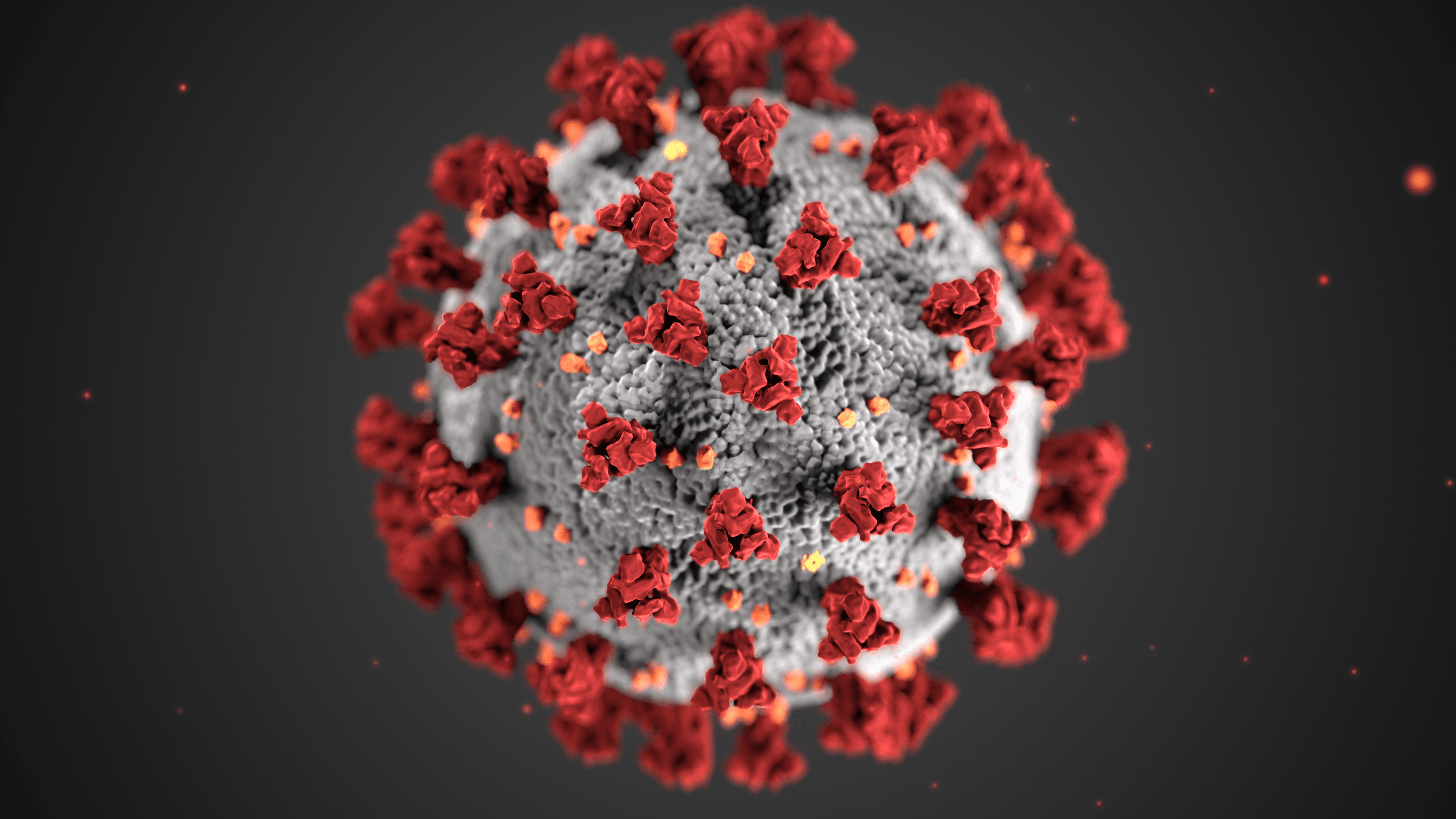 JN.1 most common COVID variant in US by Dec 23?