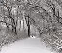 First snow of the 2026 season