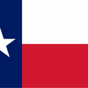 Texas Lieutenant Governor Election Winner