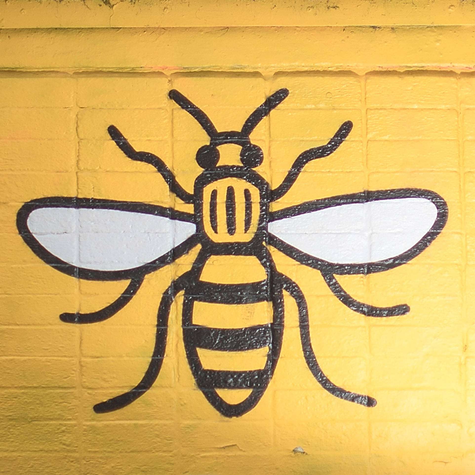 Greater Manchester Mayoral Election Winner