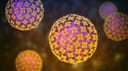 Pandemia di Hantavirus nel 2026?